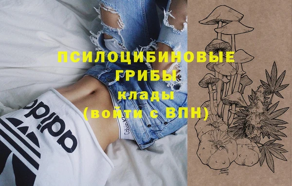 MDMA Беломорск