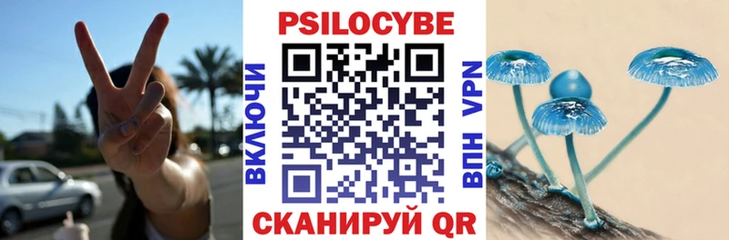 blacksprut маркетплейс  наркотики  Онега  Галлюциногенные грибы Cubensis 
