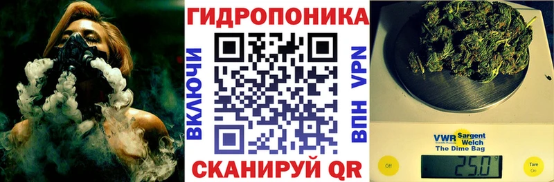 продажа наркотиков  кракен как зайти  Шишки марихуана MAZAR  Онега 